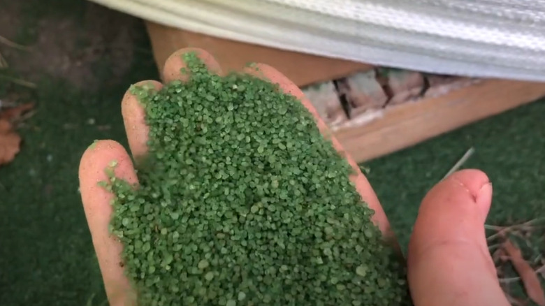Hand holding tiny plastic piecces from artifical grass