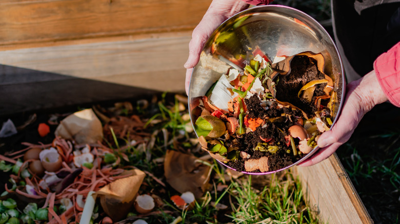 Someone dumping a bowl of food scraps into an outdoor compost pile