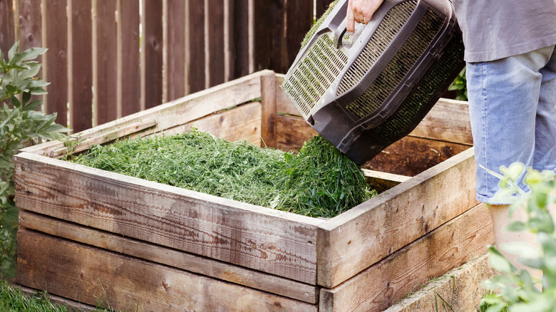 Someone pouring grass clippings into an open compost pile