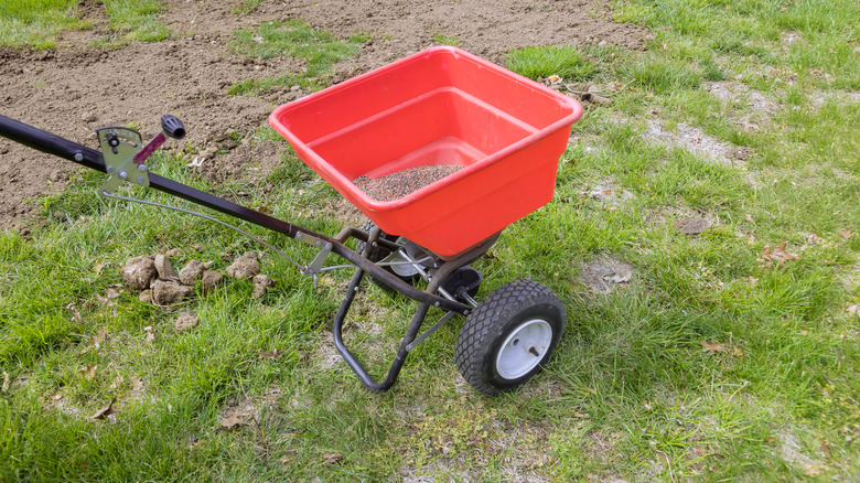 A person uses a spreader to plant grass seeds.