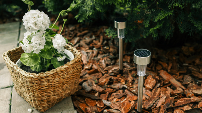 Solar landscape lights in a garden bed next to flowers