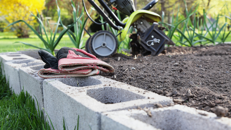 Cinder blocks lined garden bed filled with soil.