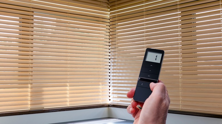 A person pointing a remote at motorized blinds