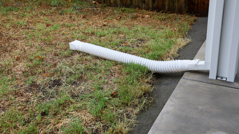 A downspout extender in a yard to provide water to a lawn area