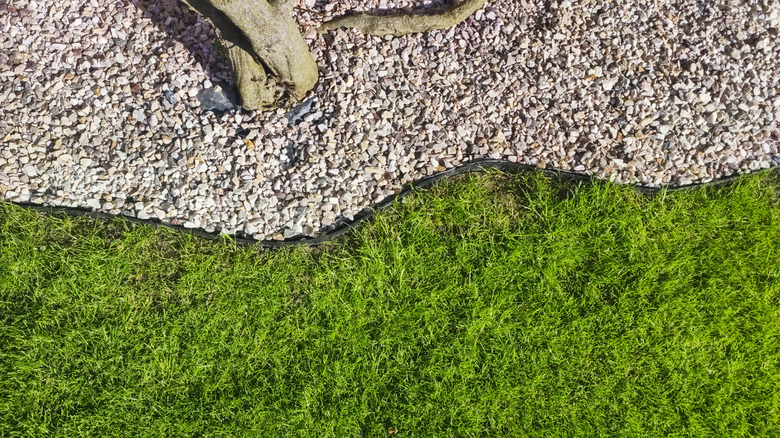 Lawn edged by trail of gravel
