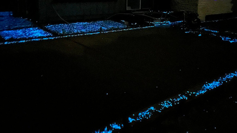 Glow stones in a dark yard