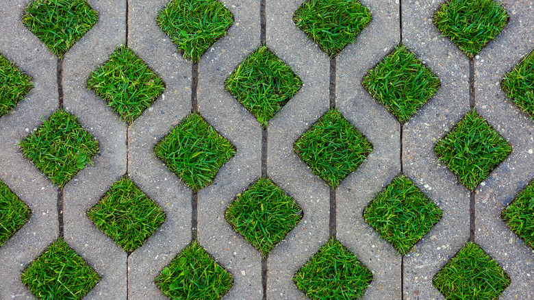 Clos up of turf block pavers on a driveway