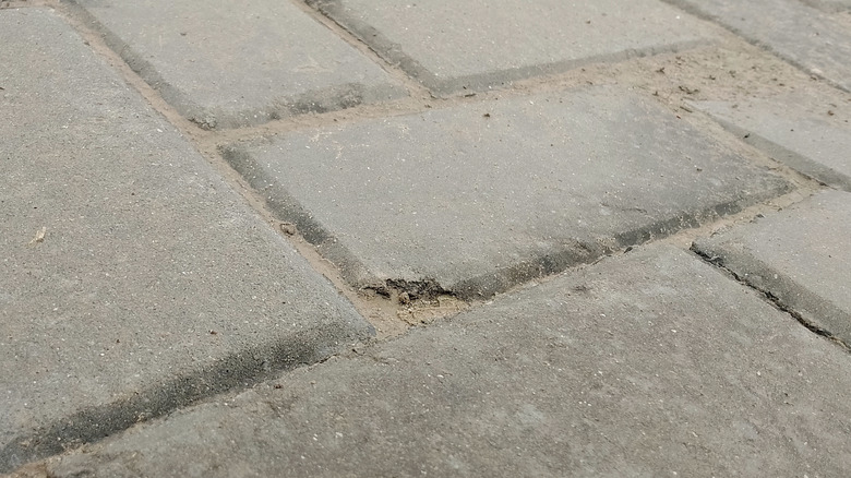 A chipped driveway paver that needs to be replaced