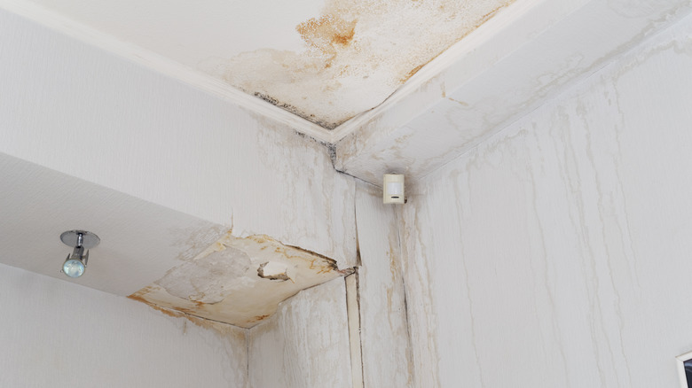 drywall ghosting on ceiling 