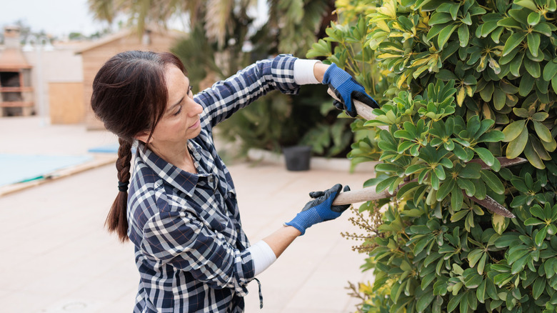 a woman wearing gloves and using hedge shears