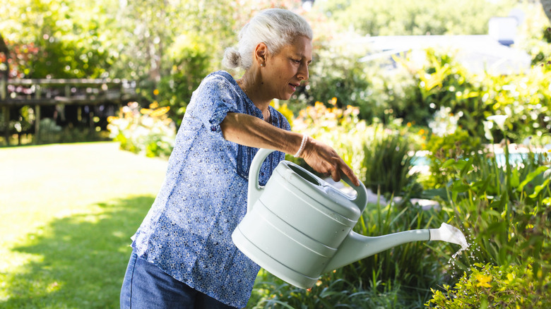 woman watering garden with watering can