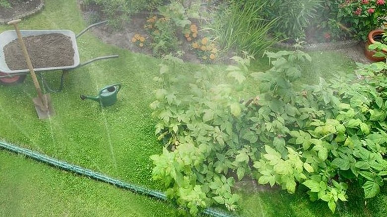 Watoo sprinkler hose being used for garden