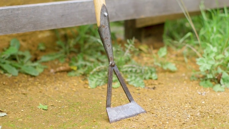 Closeup of the head of a Dutch hoe