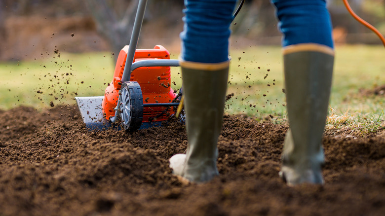A person using a push tiller to aerate soil in a garden bed