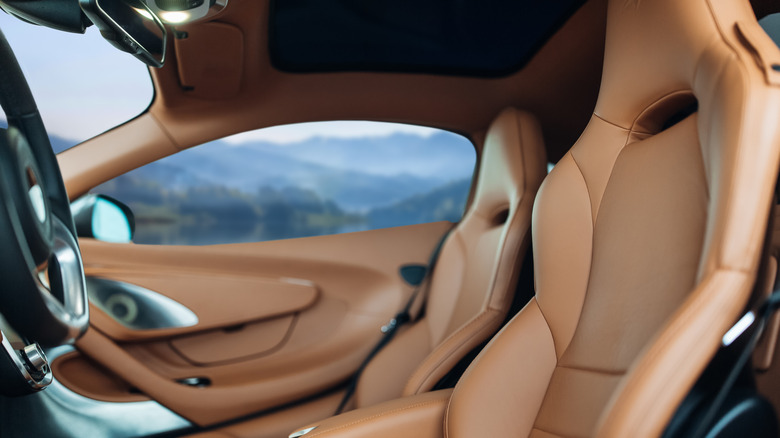 brown leather car seat