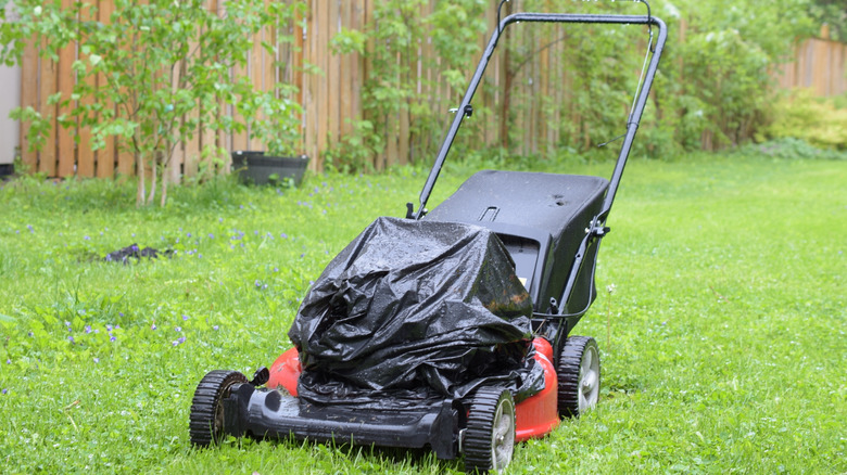 lawn mower on lawn