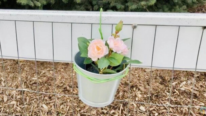 Planter being held and hung on fence by an old wire hanger.