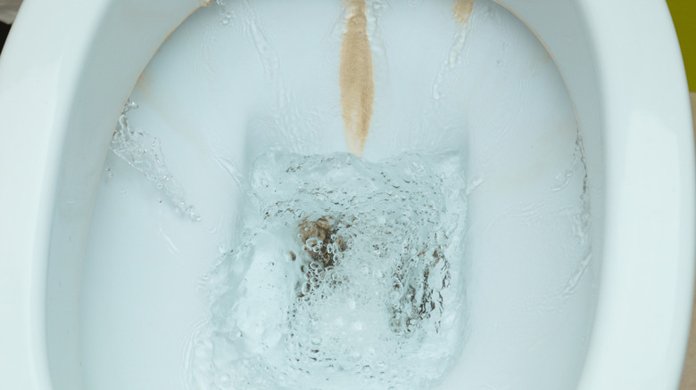 Close up of rust stain in toilet bowl