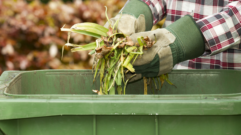 green waste in compost bin