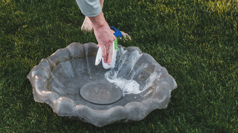Someone using a brush to scrub the inside of a birdbath.