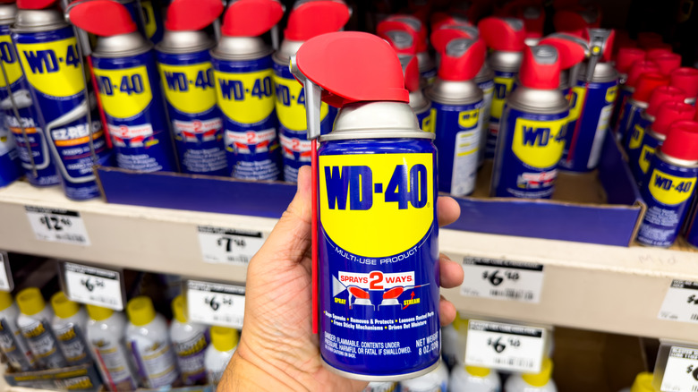 Hand holding WD-40