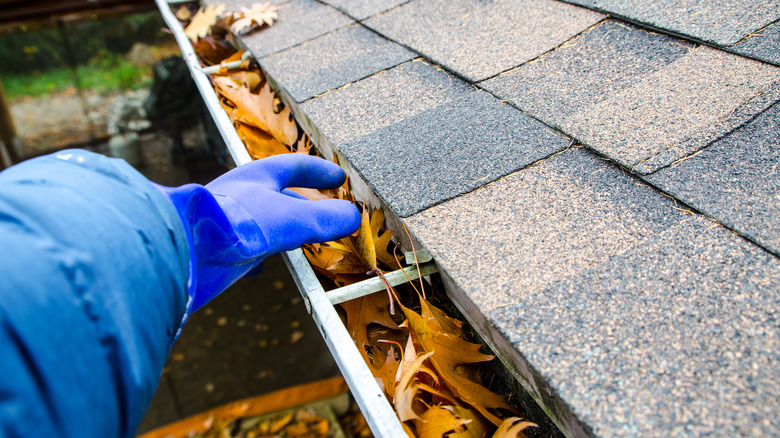 Person removing leaves from gutter