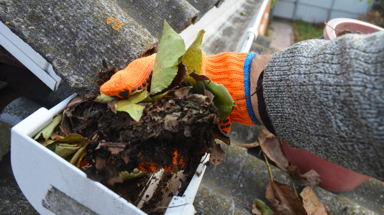 Cleaning clogged gutter by hand