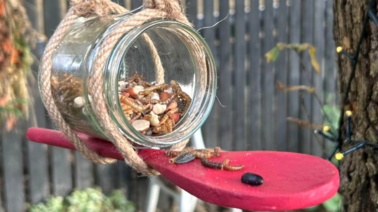 DIY bird feeder made from a glass jar and wooden spoon