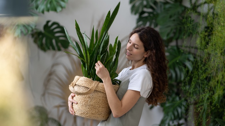 woman with rattan plant pot