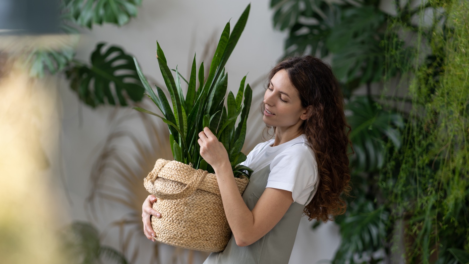 A closer look at Tiktok Fun Diy Gardening Tips