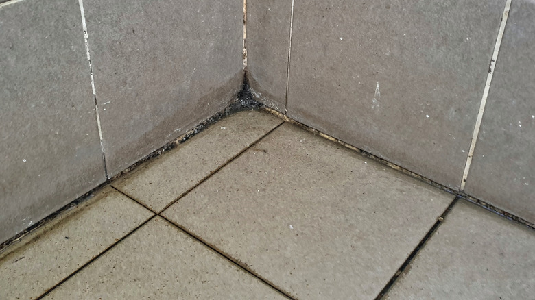 Dirty floor grout