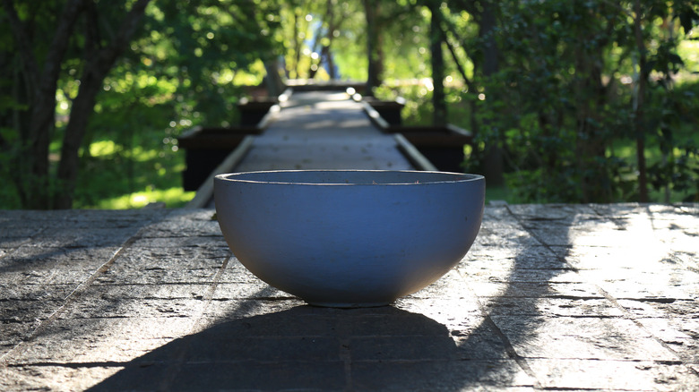 A large, empty bowl sitting outside