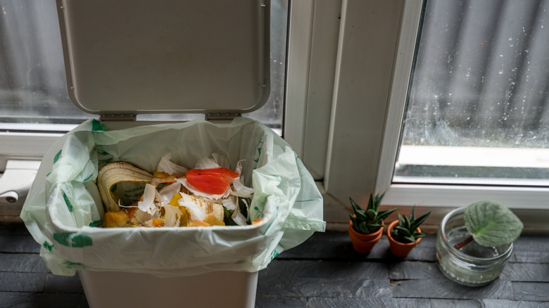 An open garbage can in a kitchen.