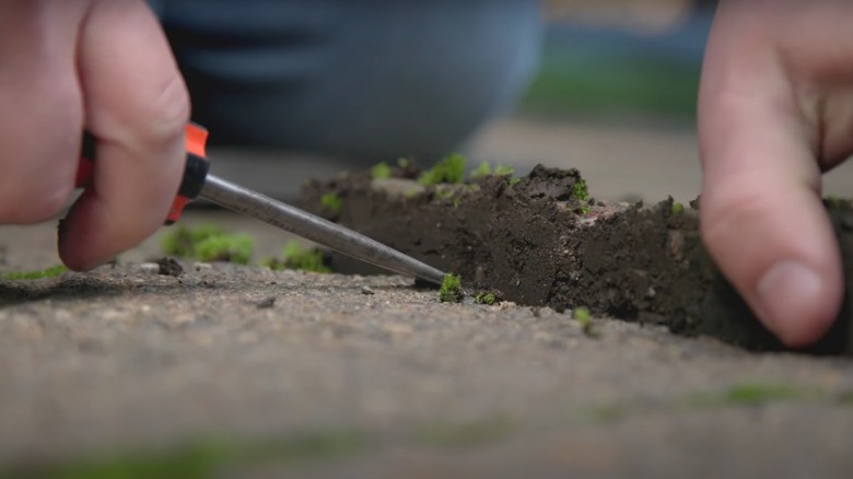 Hands using screwdriver to lift a concrete paver