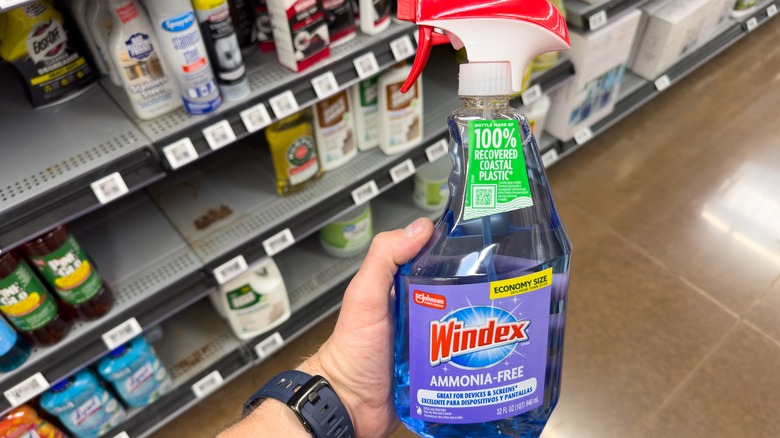 Hand holding bottle of Windex Ammonia-Free cleaner in a store aisle