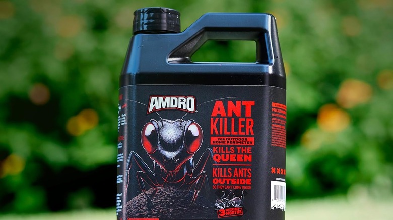 A bottle of Amdro Ant Killer for Outdoor Home Perimeter.