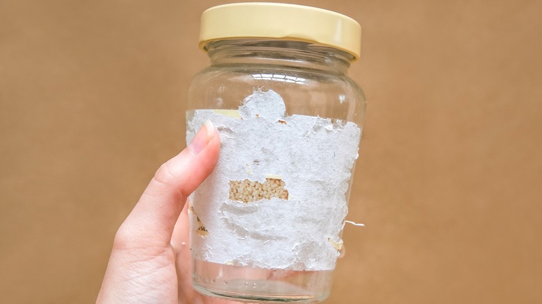hand holding glass jar with label partially removed