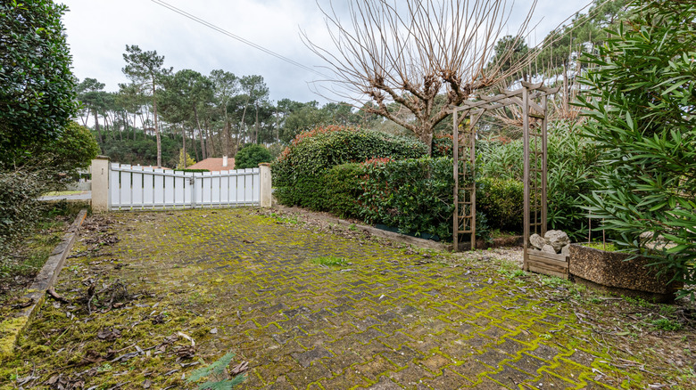 A mossy paved driveway in front of a residential home with white gates at one end and a arbor to the side.