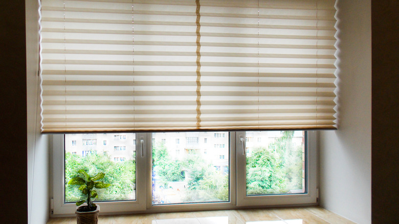 Fabric window shades diffusing natural light into a room