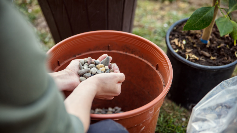 woman holding handful of gravel