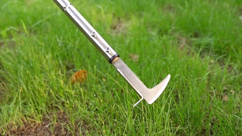 BARAYSTUS crack weeder pictured with a grassy yard.