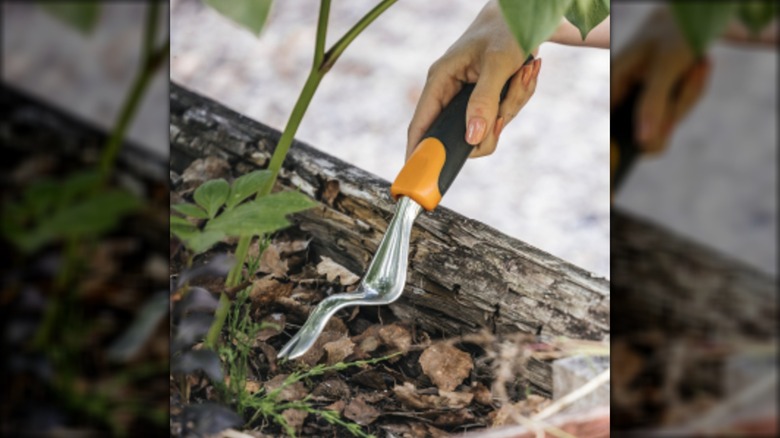 Fiskars hand weeding tools