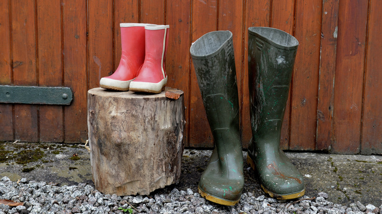 old rain boots on stump