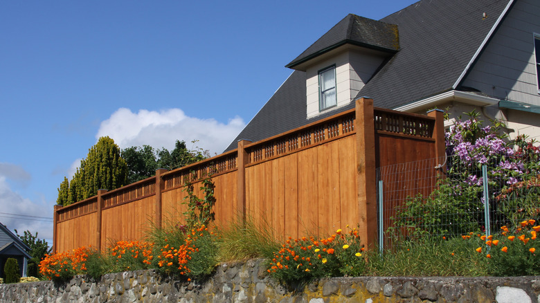 house with privacy fence