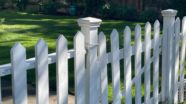 A white picket fence with fence post caps borders a green lawn
