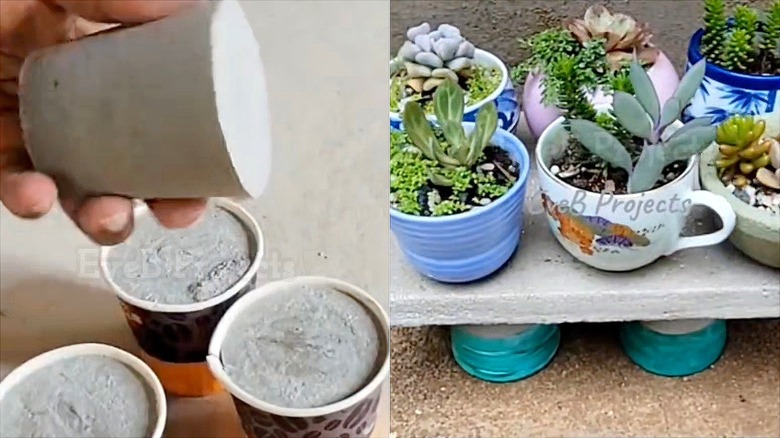 Split image showing the cement legs made from paper cup molds on the left and the assembled plant stand with succulents on to on the right
