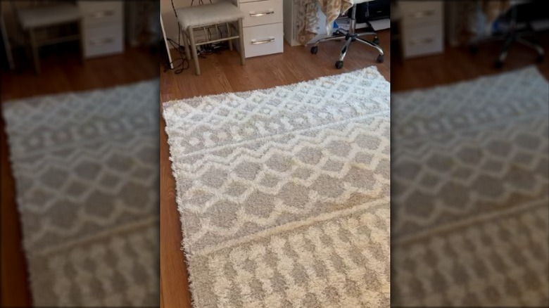 Rug laying on an office floor