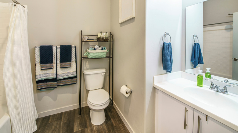 over the toilet storage 