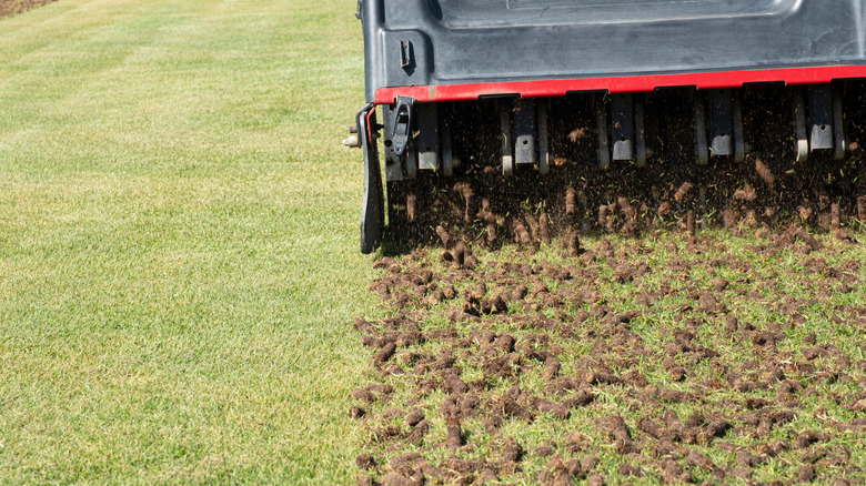 Aerating lawns with a large aerator