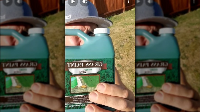Man holding up a bottle of Grass Paint